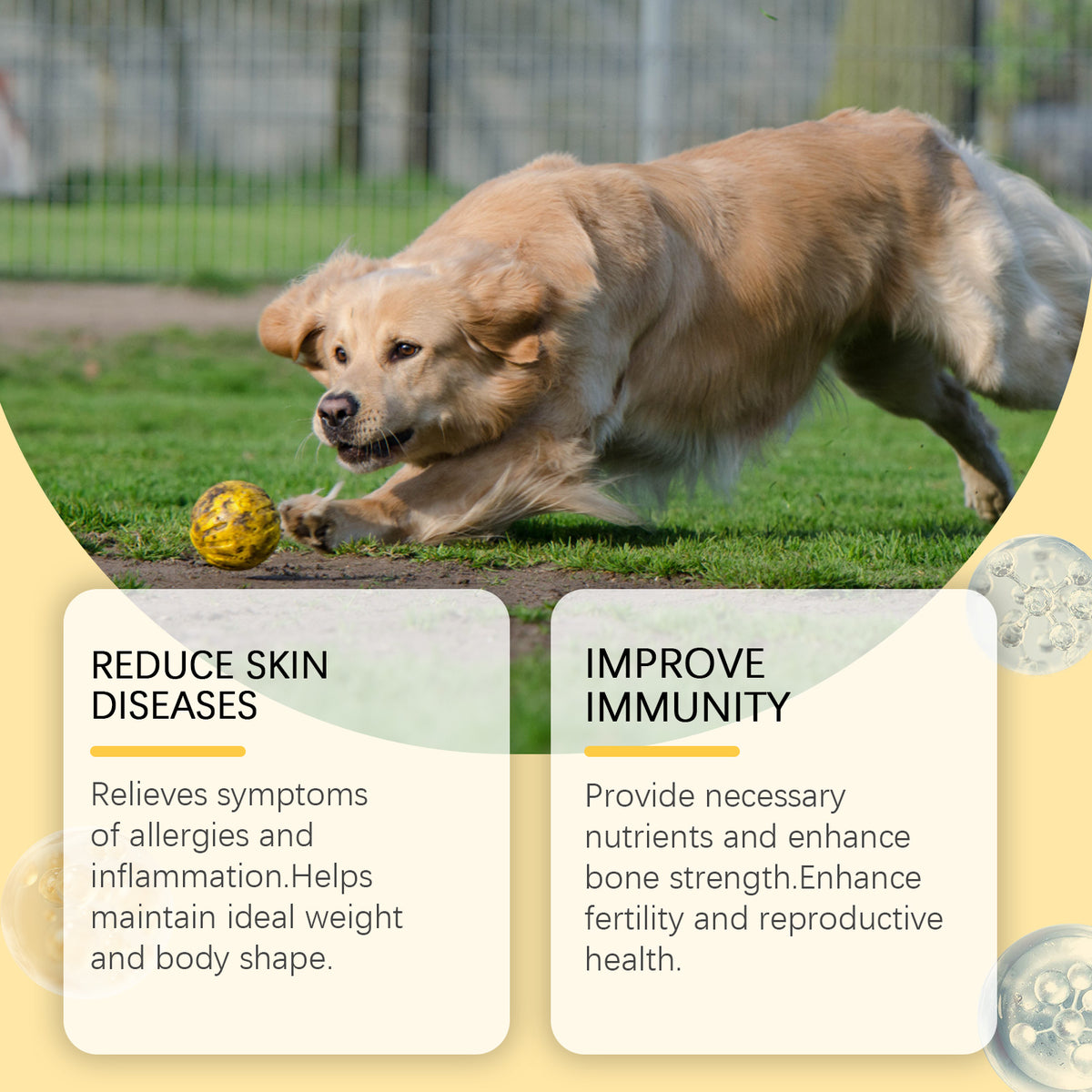 Omega-3 Fish Oil Chews for Dogs – 60 Count – product image 9