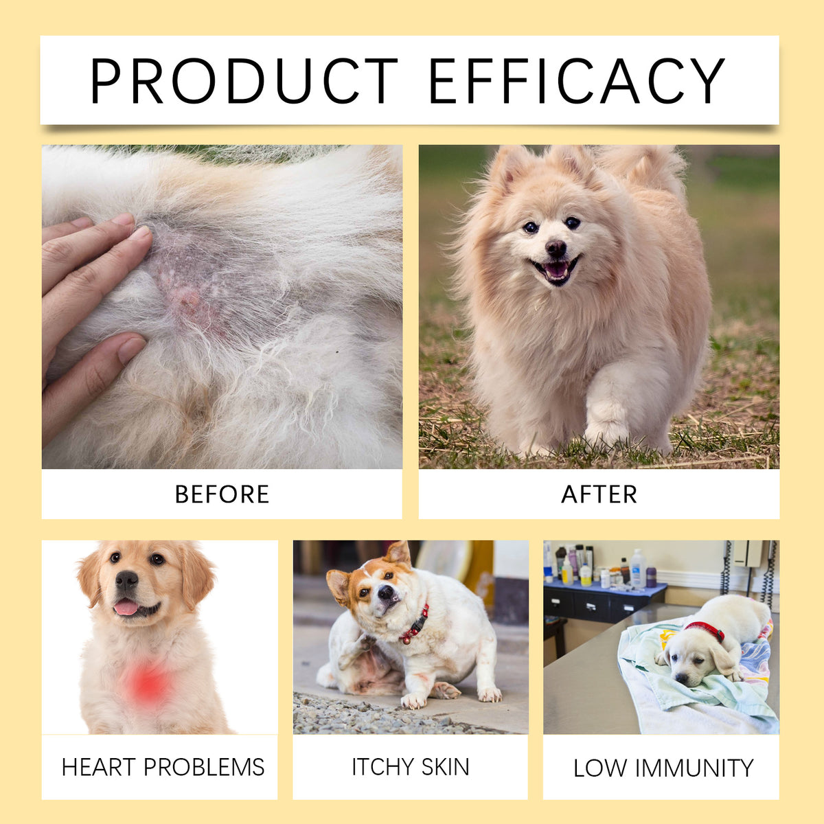 Omega-3 Fish Oil Chews for Dogs – 60 Count – product image 10