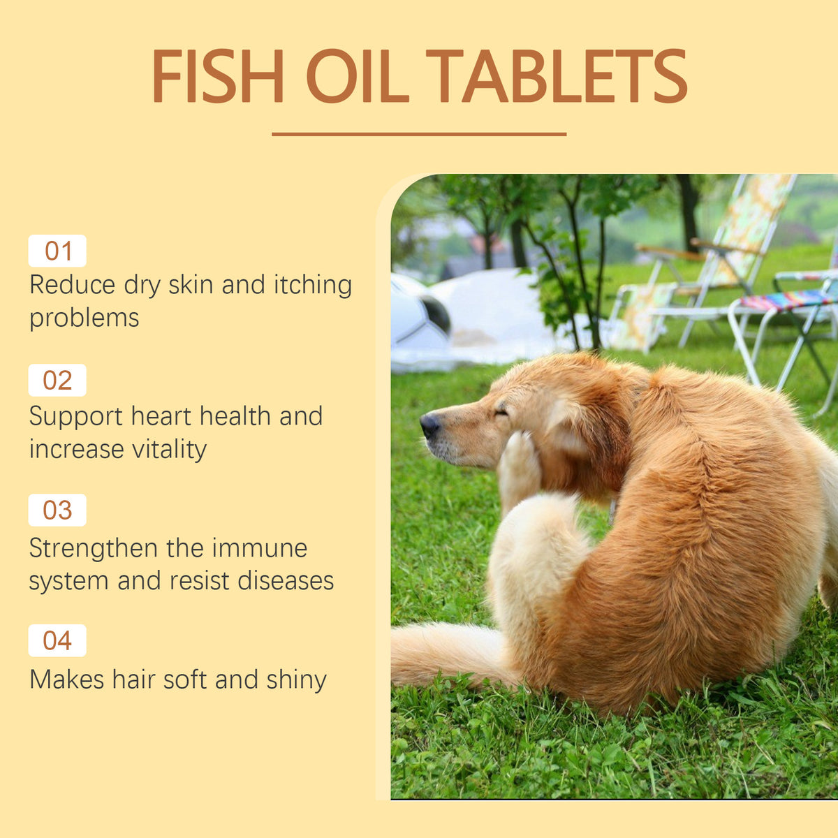 Omega-3 Fish Oil Chews for Dogs – 60 Count – product image 4